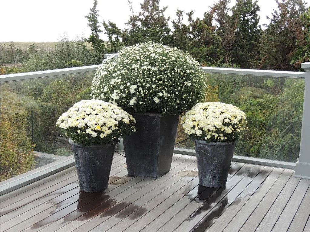 Plain Tapered Lead Planters