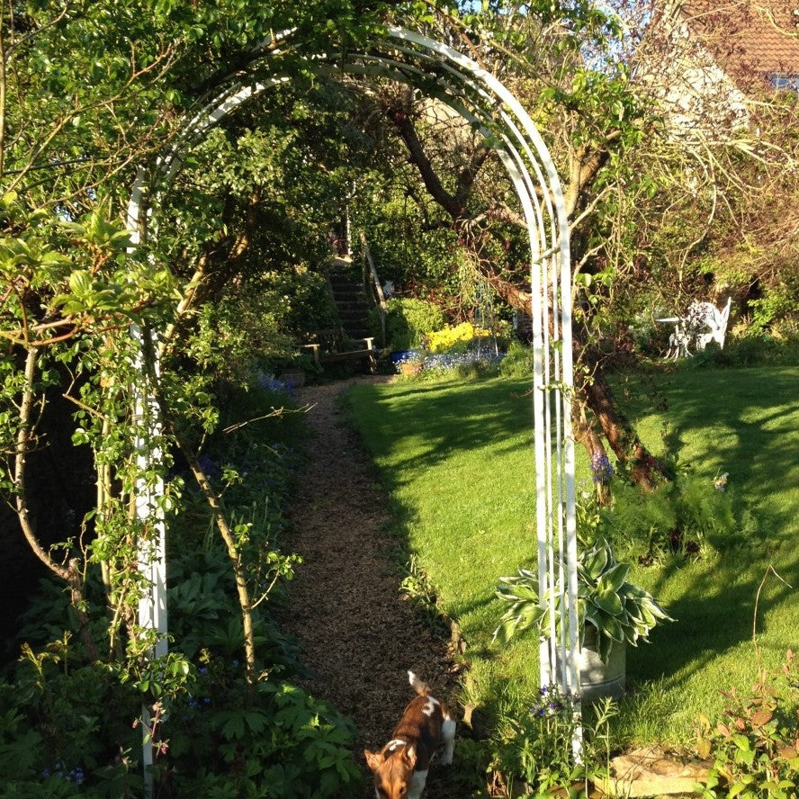 Classic Rose Arch