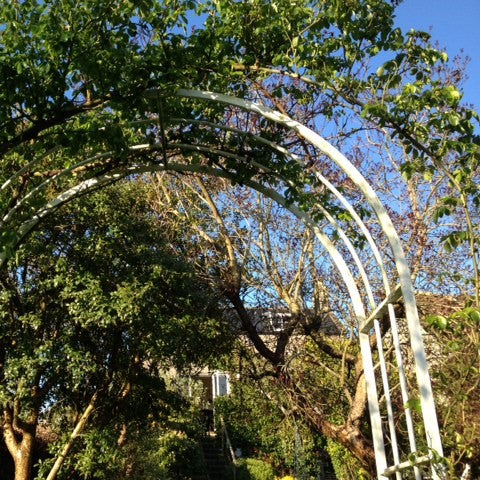 Classic Rose Arch