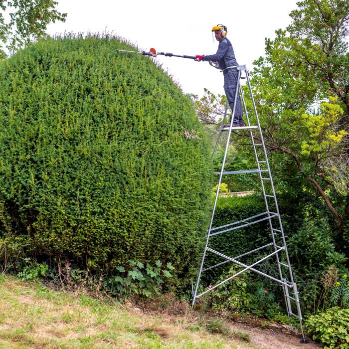 garden ladder