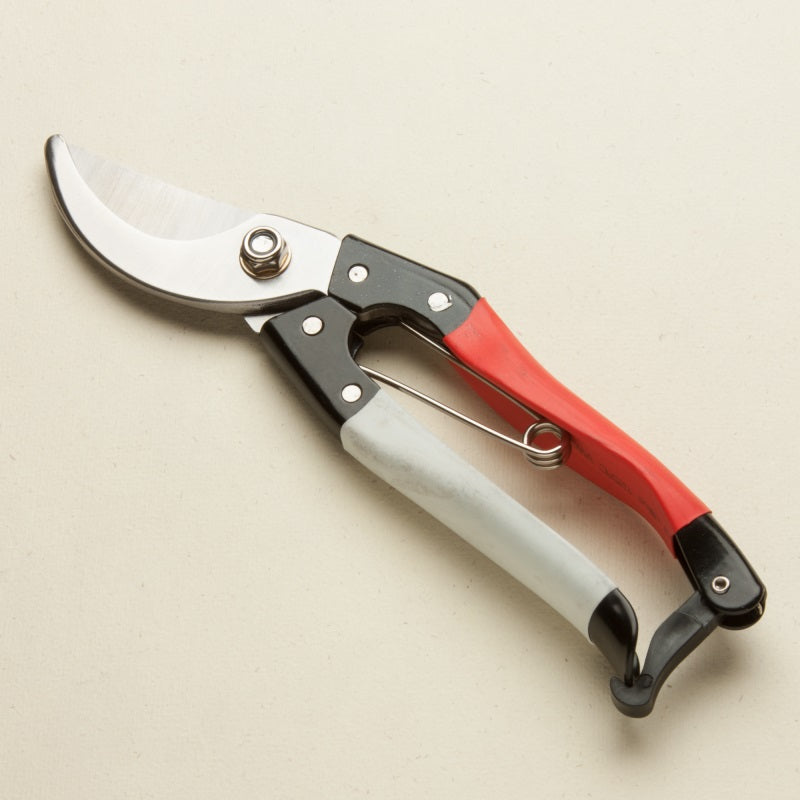garden secateurs and leather holster