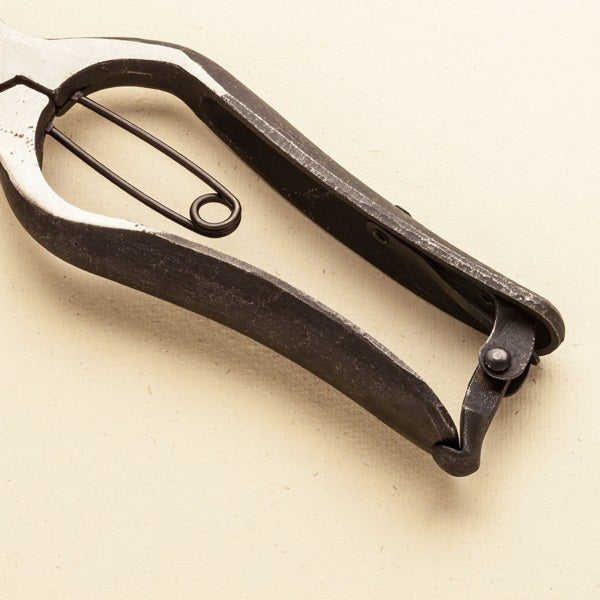 Japanese steel secateurs