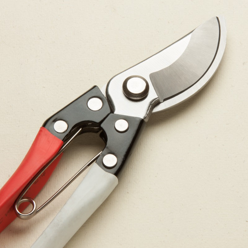 garden secateurs and leather holster
