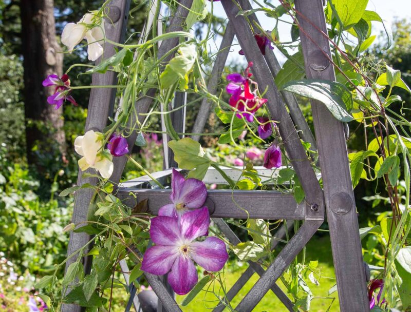 Small garden obelisks 