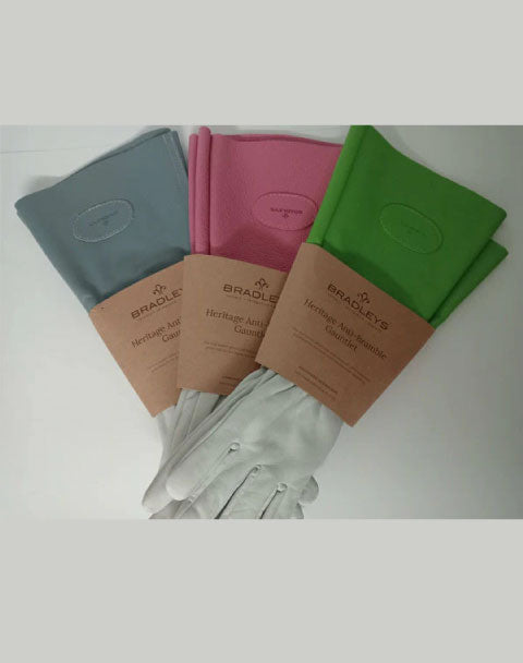 Ladies Anti Bramble Gloves